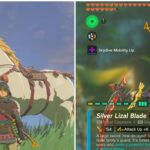 Best Weapon Fusions For The Most Damage In Zelda TOTK