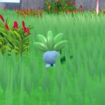 How to find Oddish in Pokémon Scarlet and Violet The Indigo Disk