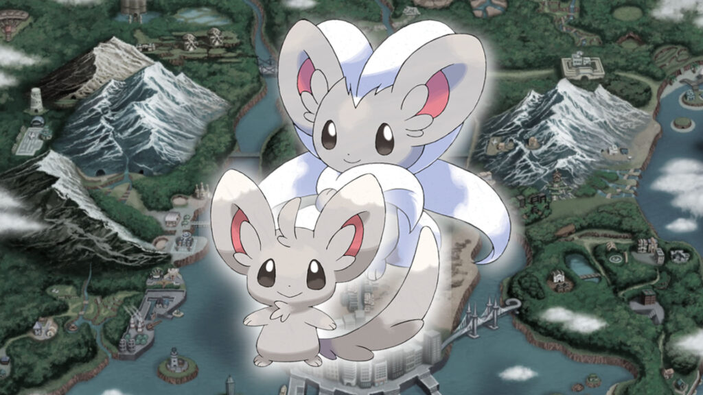 Minccino evolution guide