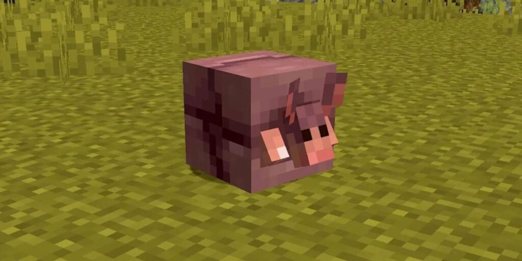 Minecraft Players Want One Change Made to the New Armadillo Mob