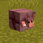 Minecraft Players Want One Change Made to the New Armadillo Mob