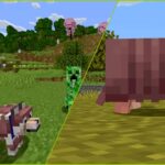 Minecraft Shows Off The Armadillo and Wolf Armor, Available Now in Beta and Preview