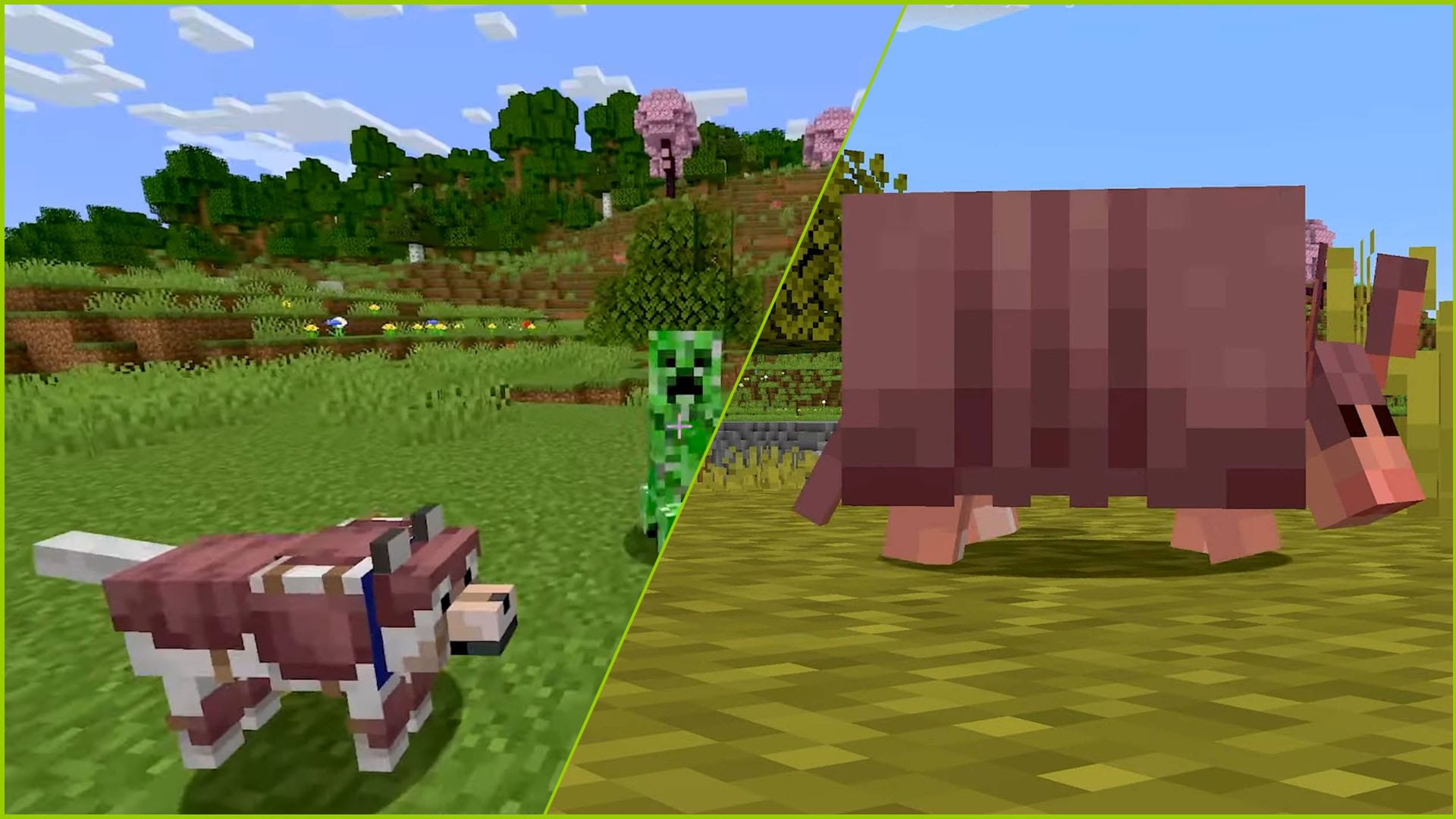 Minecraft Shows Off The Armadillo and Wolf Armor, Available Now in Beta and Preview