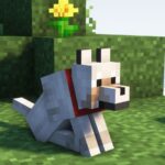 Minecraft’s New Wolf Armor is Getting Mixed Responses