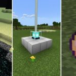 Rarest Items In Minecraft (& How To Get Them)