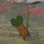 Tears of the Kingdom Fan Makes Korok Figure With a Weird Twist