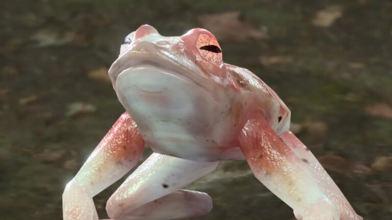 What is the Addled Frog in Baldurs Gate 3 (BG3)