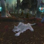 Where to tame a Ghost Cat in WoW Classic Season of Discovery (SoD)