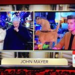 Andy and Anderson lose it as John Mayer celebrates New Year with cats