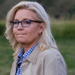 Liz Cheney calls on New Hampshire voters to fight ‘plague of cowardice’ in GOP