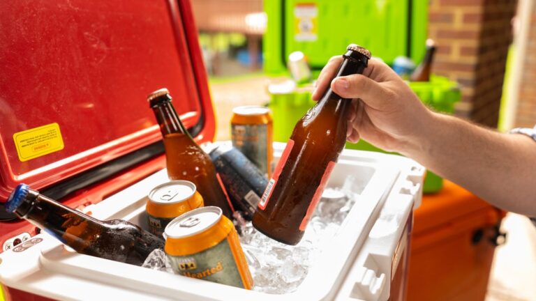 Best Cooler of 2024 – CNET