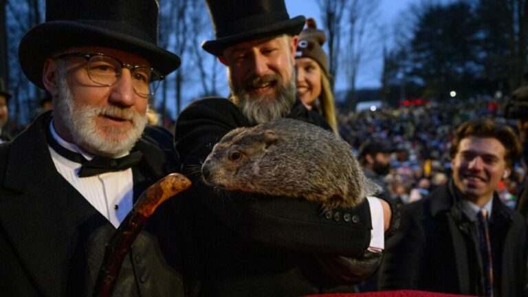 Punxsutawney Phil takes over the internet on Groundhog Day