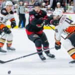 Senators’ winning streak halted as club drops decision to Ducks