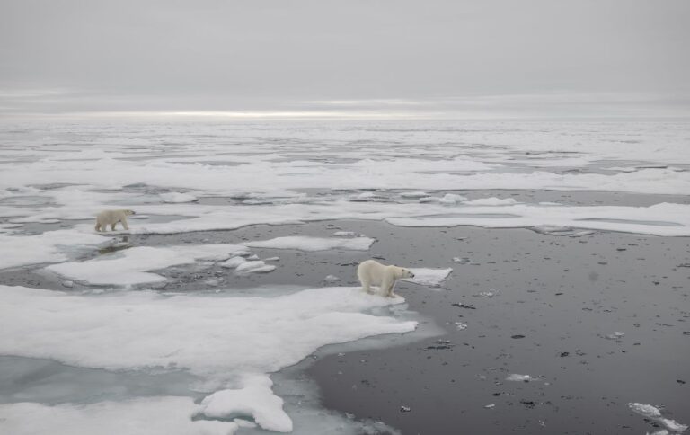 Keep Calm and Carry on With the Anthropocene