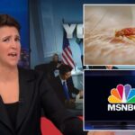 MSNBC staffers scatter after bed bugs found at Manhattan HQ ahead of Super Tuesday coverage