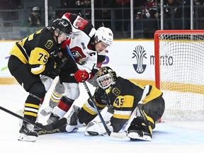 Ottawa 67’s expect playoff series with Brantford Bulldogs to go seven
