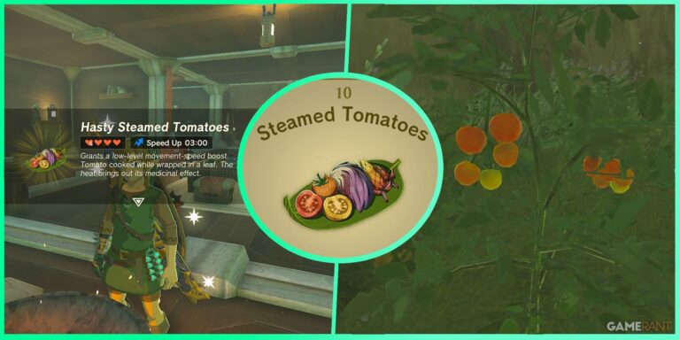 How to Make Steamed Tomatoes in Zelda: Tears of the Kingdom