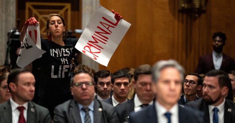 “Butcher of Gaza”: Pro-Palestine Protesters Interrupt Blinken Hearing