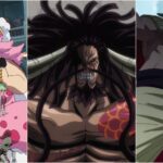 Every Yonko’s Height In One Piece