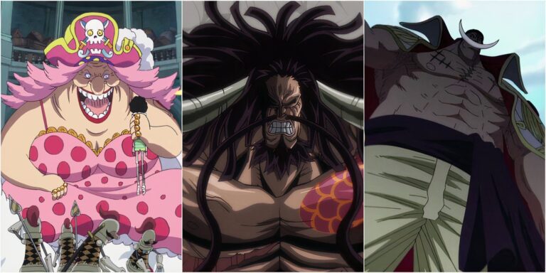 Every Yonko’s Height In One Piece