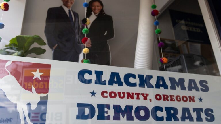 In Oregon primaries, progressive and establishment Democrats compete for US House seats