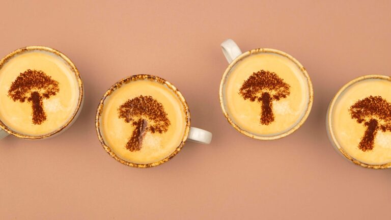 Mushroom Coffee: How It Works, Potential Health Benefits and Things to Consider