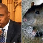 NYC Mayor Eric Adams announces Urban Rat Summit to combat rodent crisis