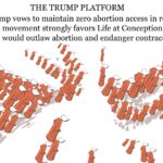 The Trump Platform | The Nation