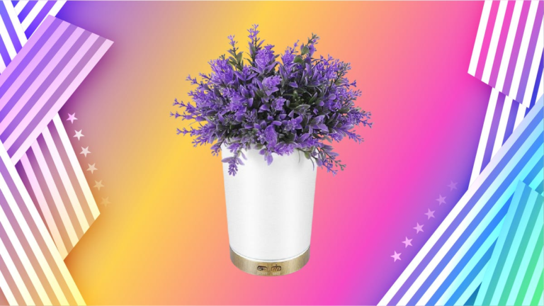 Transform Your Space With an Essential Oil Diffuser Before Memorial Day Ends