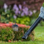 Best Leaf Blowers for 2024