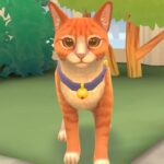 Cat Rescue Story Lets You Run Your Very Own Cat Shelter in September