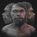 Face of the oldest human being revealed after 300,000 years | Tech News