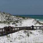 Florida shark attacks: Three people injured in two separate shark attacks in Walton County Friday