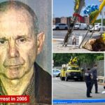 Genovese mobster ‘Tony Cakes’ ID’d as NYC man decapitated by DOT truck