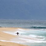 Hawaii lifeguard dies in shark attack while surfing off Oahu