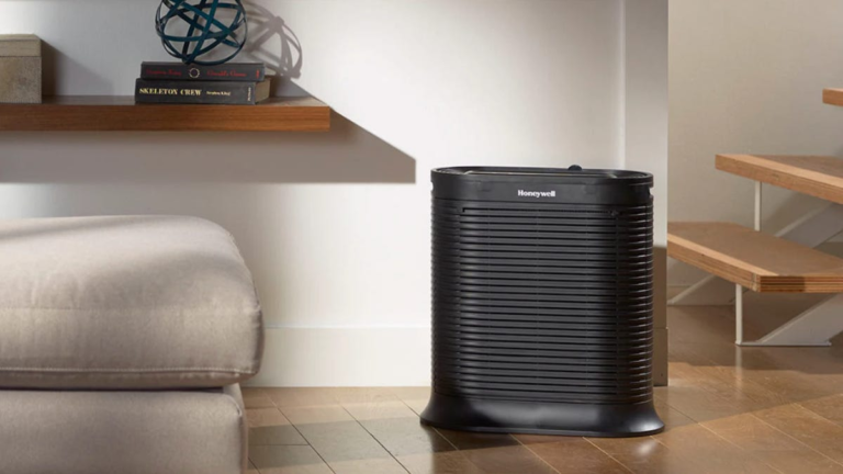 Best Air Purifier of 2024