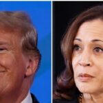 Donald Trump Leads Kamala Harris By More than He Leads Joe Biden