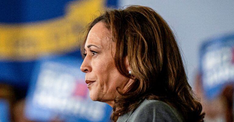 Donors leave call with Kamala Harris frustrated and annoyed