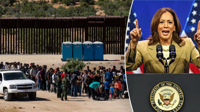 ‘Extreme agenda’: Harris’ past record on illegal immigration resurfaces after Biden drops out