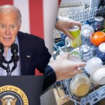 House Dems join Republicans to pass crackdown of Biden rules on dishwashers, fridges