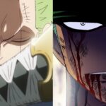 One Piece Fans Outraged Over The Latest Vivre Card Set Due To Shocking Omission