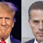 Poll compares whether Trump, Hunter Biden should get prison sentences, according to US adults