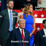 See Who Sat in Trump’s V.I.P. Box at the Convention