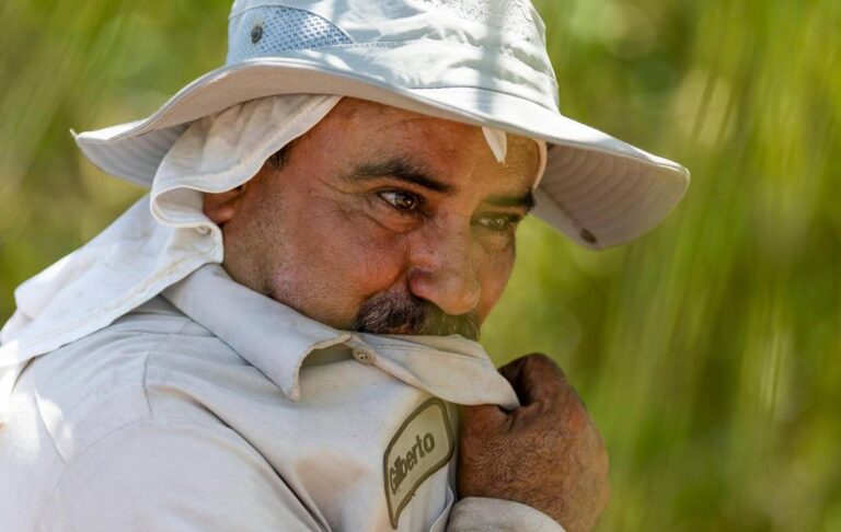 The impact of summer heat on physical and mental health