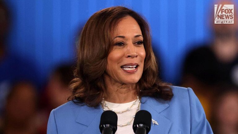 Dem strategists say Harris needs to ensure she’s ‘striking the right balance’ at DNC, seize on ‘momentum’