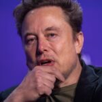 Elon Musk Gets Perfect Reward for New Hobby of Election Interference