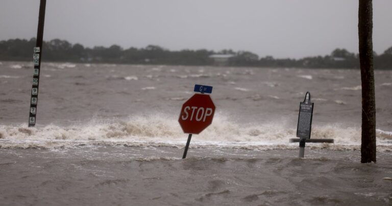 Hurricane Debby Is Fading But Florida’s Hellish Insurance Crisis Isn’t