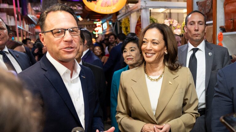 New poll reveals how well voters know the candidates on Harris’ veep shortlist