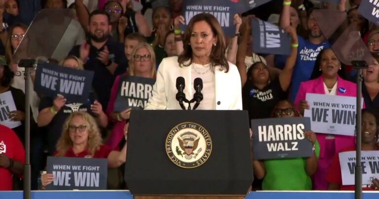 Protesters attempt to interrupt Kamala Harris at rally