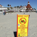 The California Beach Town Awash in Poop